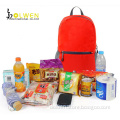 2014 Sport Cheap Foldable Backpack (DW-BK1475)